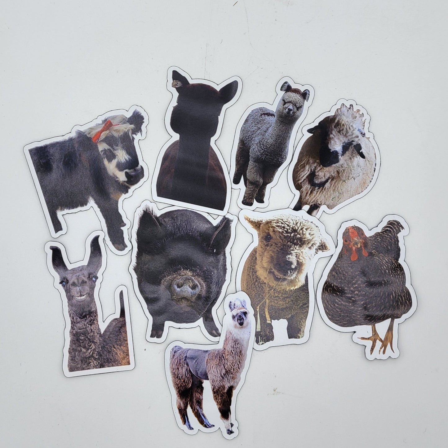 Farm Animal Magnets