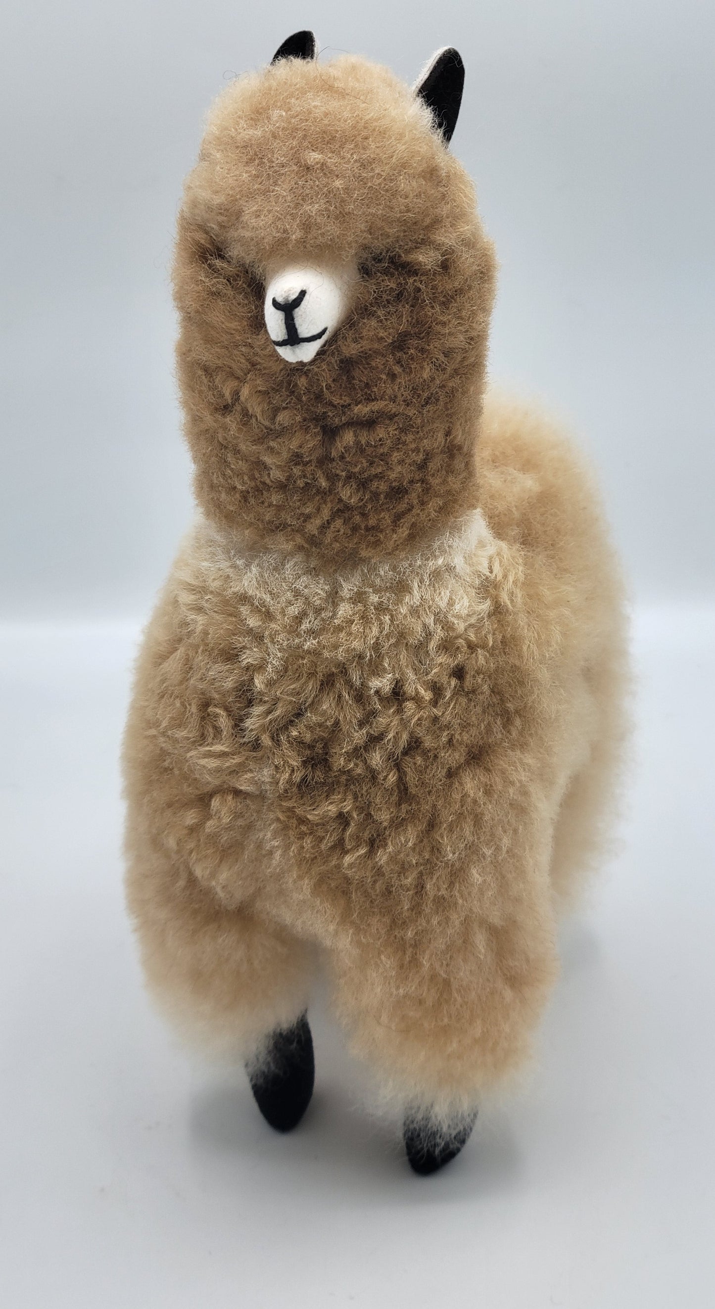 Bella Alpaca