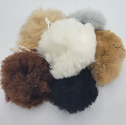 Individual Alpaca Pom