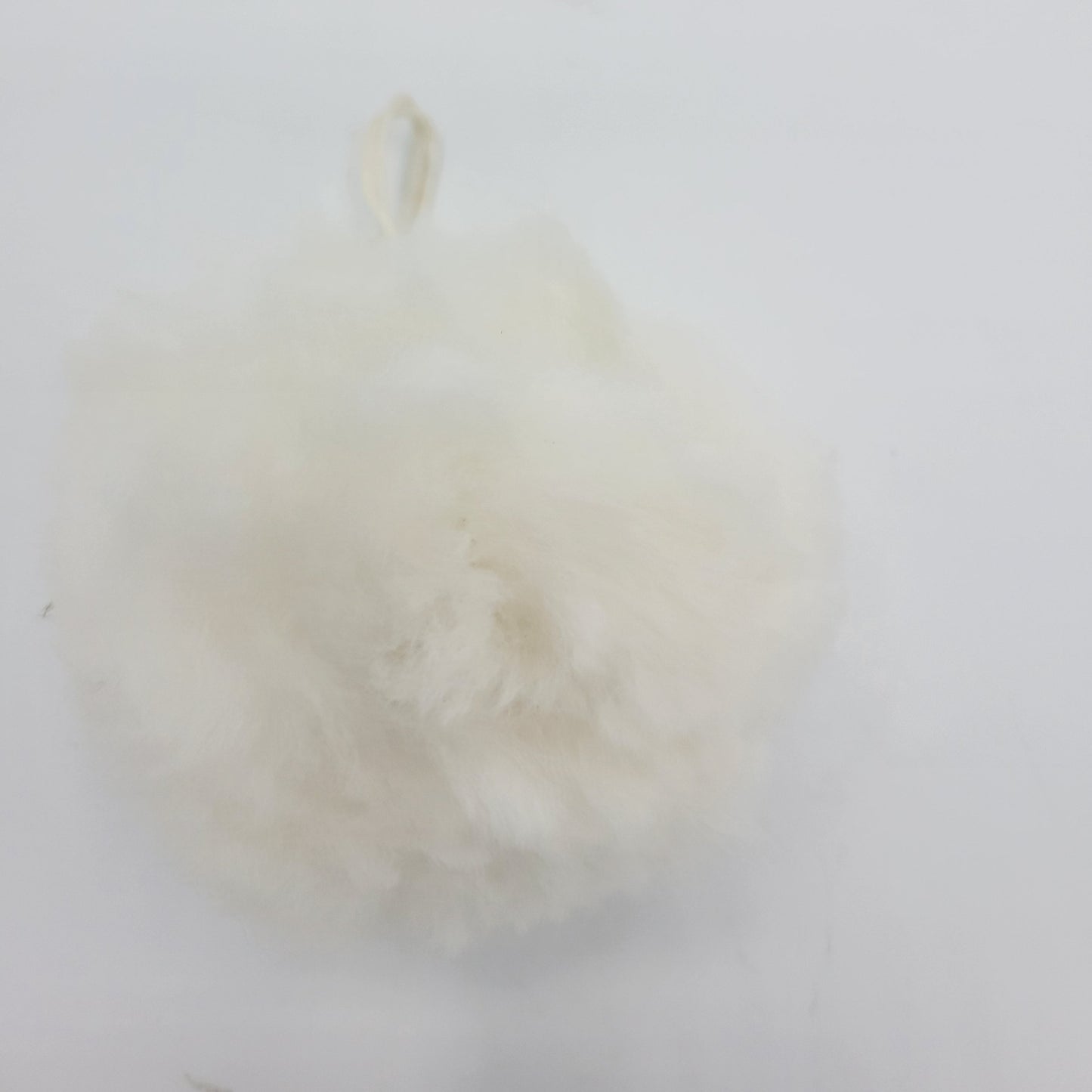 Individual Alpaca Pom