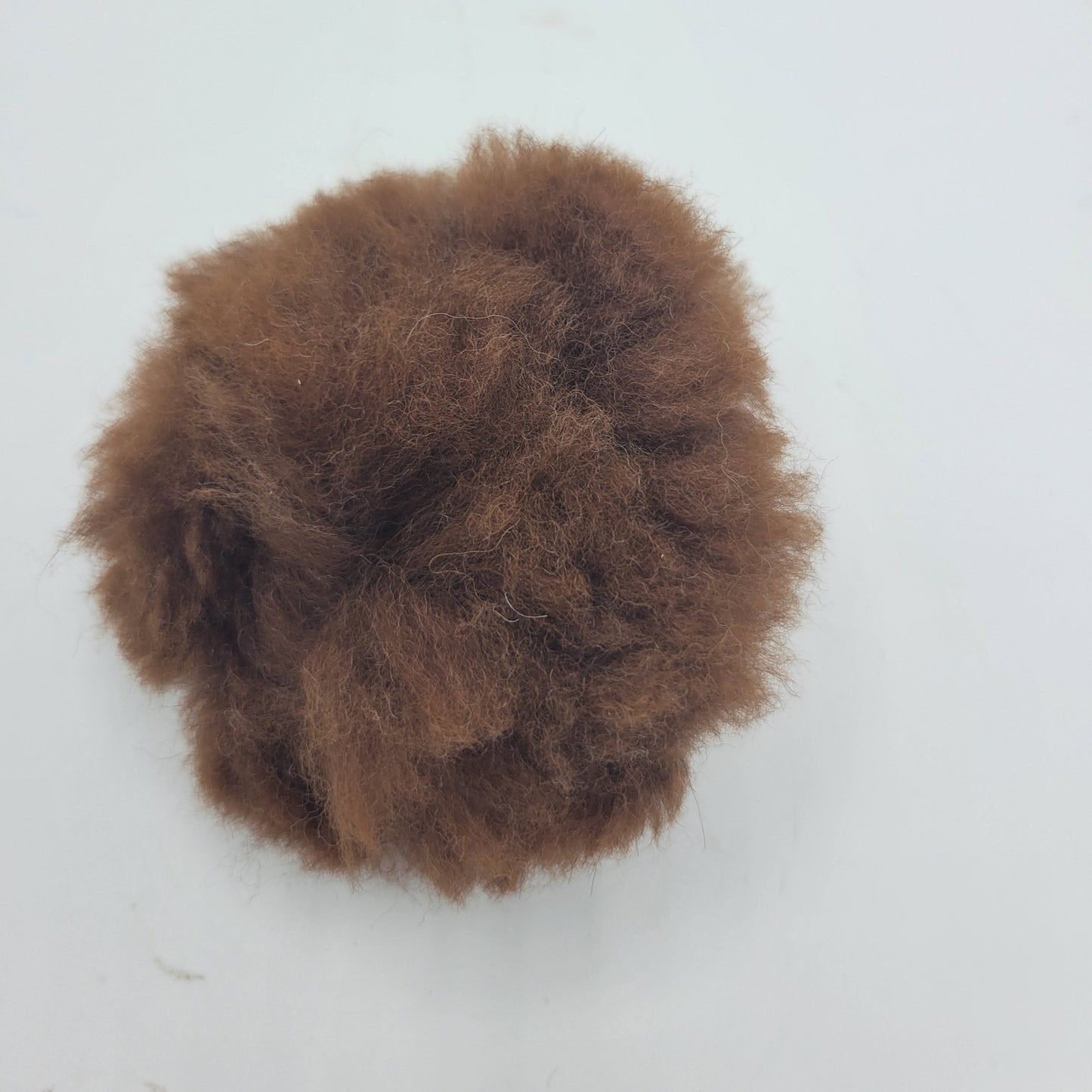 Individual Alpaca Pom