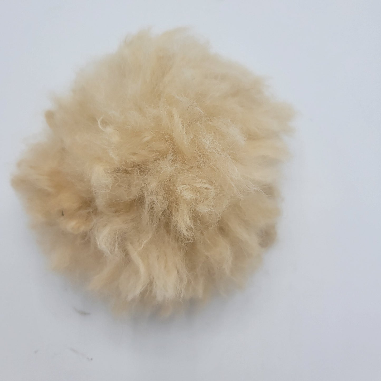 Individual Alpaca Pom