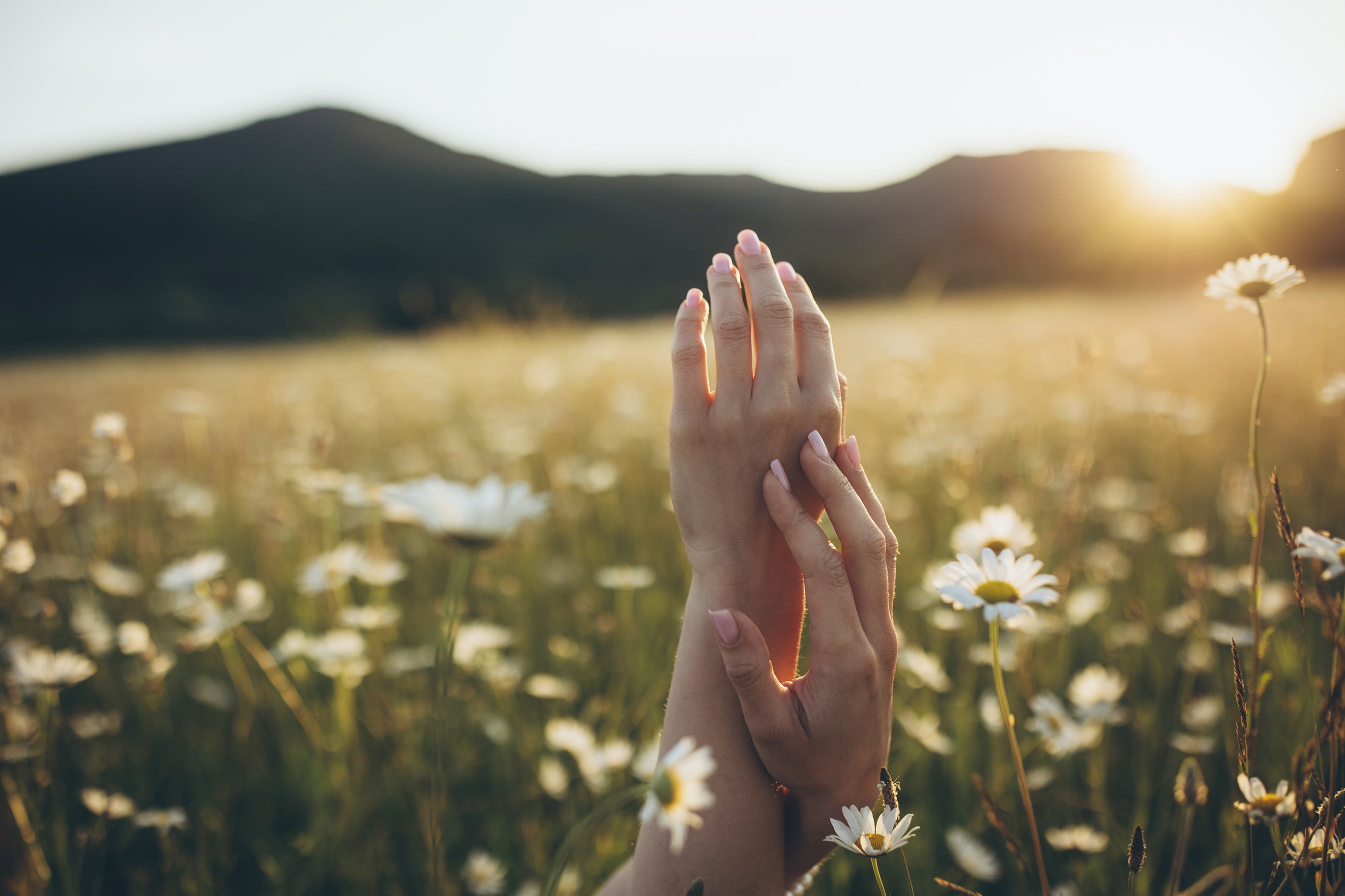 hands sticking up from a field of flowers